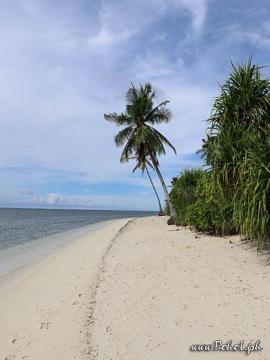 Pamilacan Island Beach