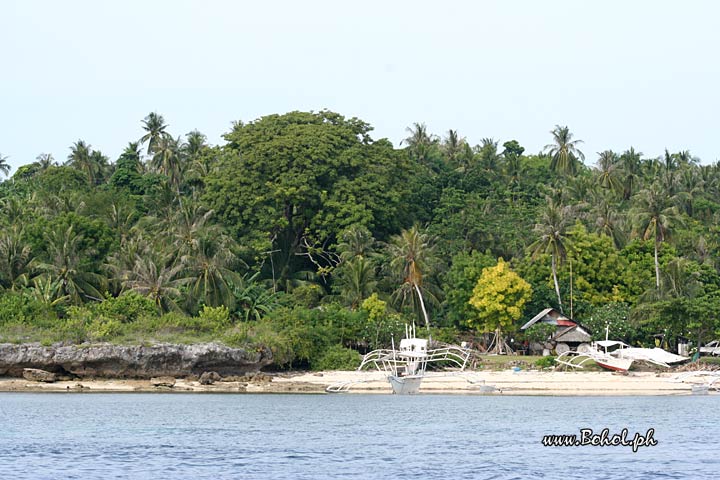 Pamilacan island