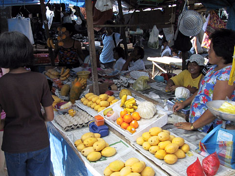 Fruit Market in Valencia