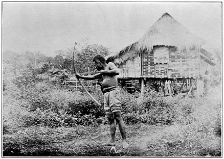 Negrito man of Negros (emigrant from Panay) drawing a bow.