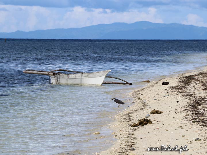 Along the Beach, Pamilacan Island