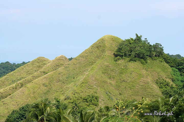 Bohol's Landscape