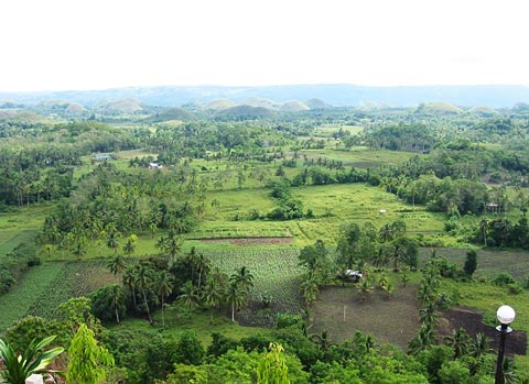 View from the Chocolate Hills